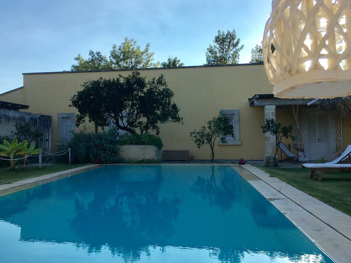 Foto E Recensioni Della Piscina Dellmasseria Lu Iundulu Tripadvisor