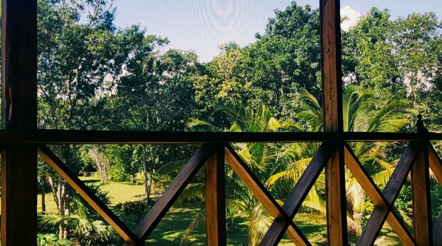Serenity Retreats Belize -A Vegan Resort