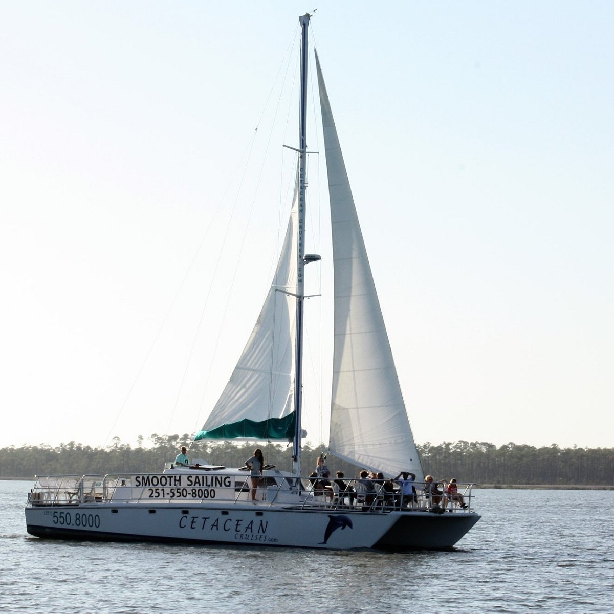 cetacean cruises orange beach al