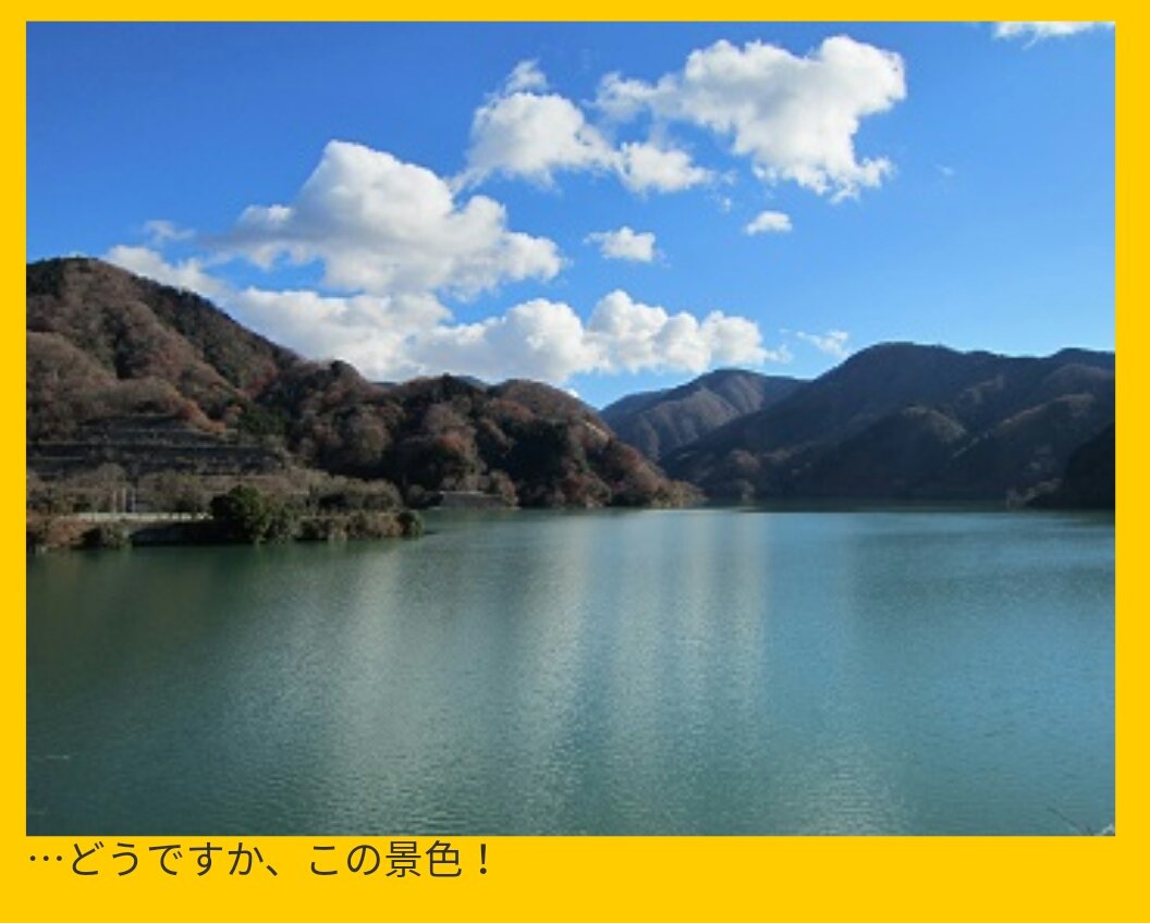 神奈川 山北産 天然石 鑑賞石 丹沢湖