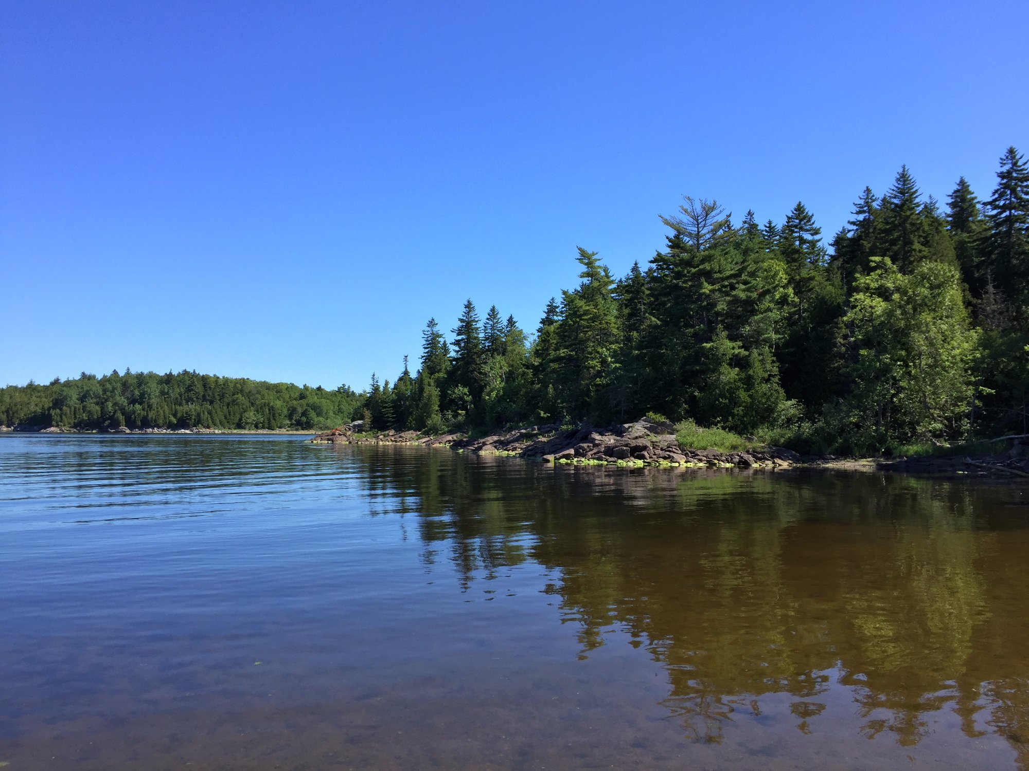 River Bay Adventures (Saint John) - All You Need to Know BEFORE You Go