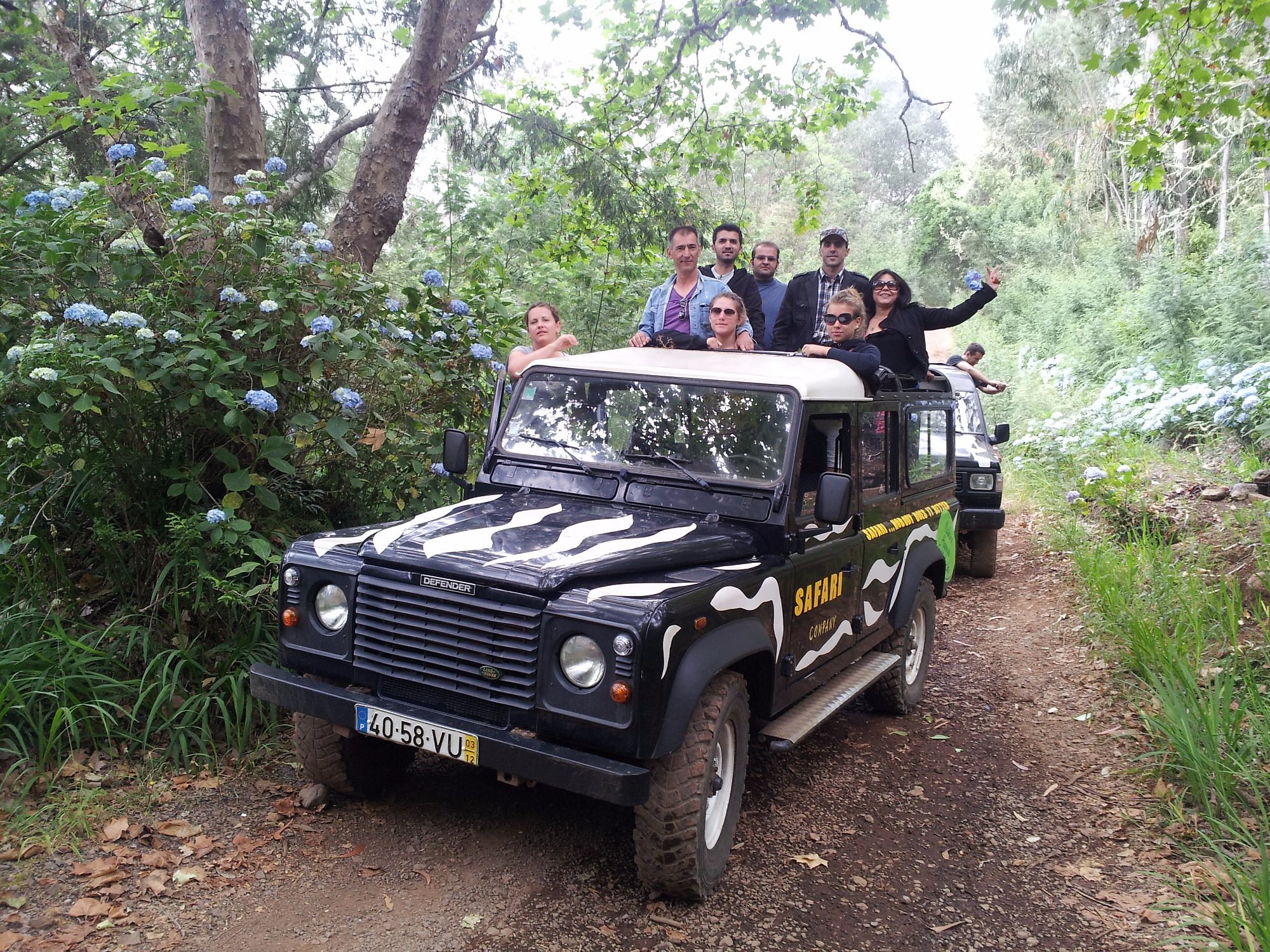 safari madeira tripadvisor