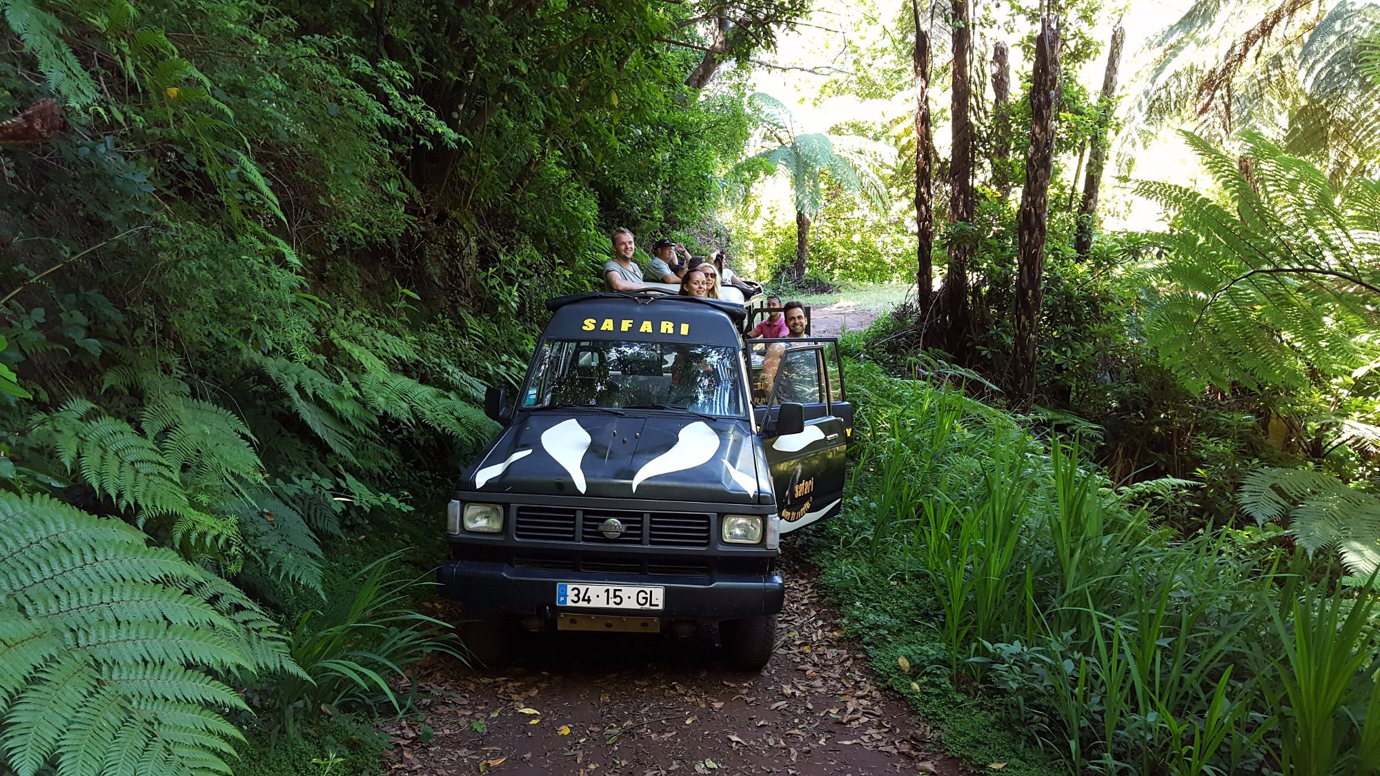 safari madeira tripadvisor