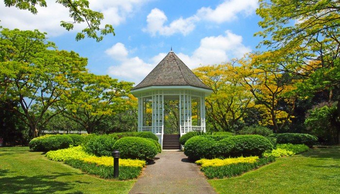 Singapore Botanic Gardens All You Need to Know BEFORE You Go