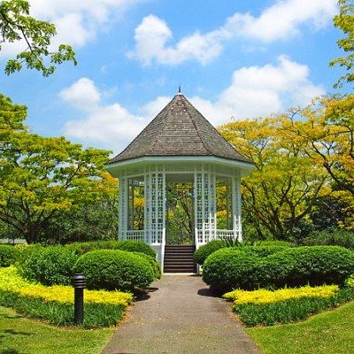 Beautiful Botanic Gardens of Singapore