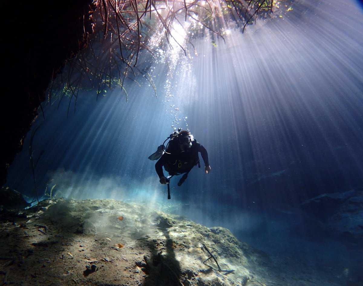 Nautilus Diving & Training Center - All You Need to Know BEFORE You Go ...