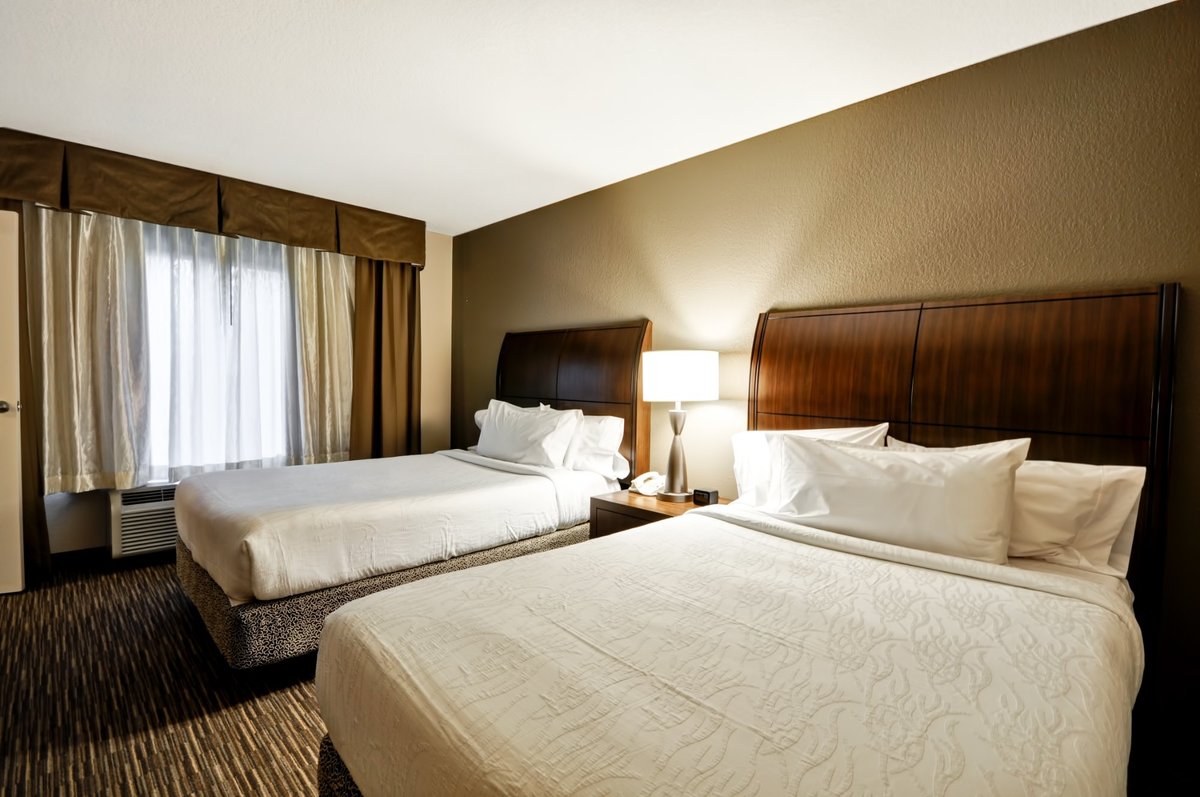 Hilton Garden Inn Tampa North Rooms: Pictures & Reviews Hilton Garden Inn Tampa North Rooms: Pictures & Reviews - Tripadvisor