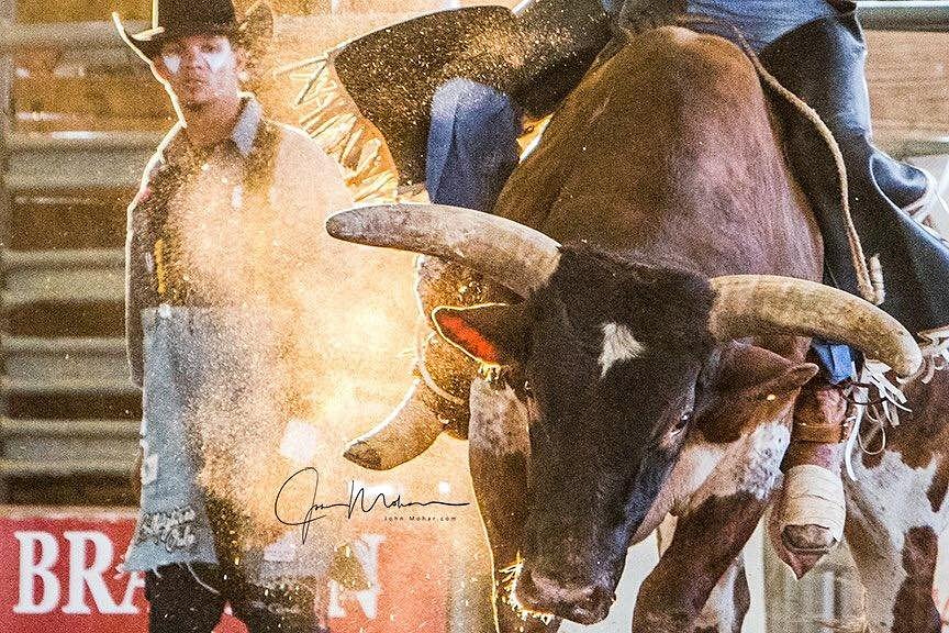 Tejas Rodeo Company (Bulverde) All You Need to Know BEFORE You Go