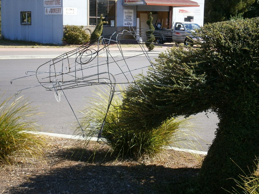pics Railton Tasmania Accommodation hilltop cottages reviews railton