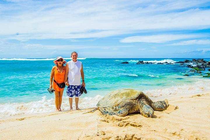 turtle island tour hawaii