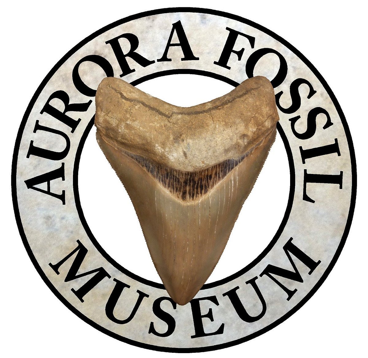 Aurora Fossil Museum (NC) omdömen Tripadvisor