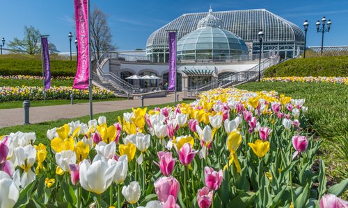 Phipps Conservatory and Botanical Gardens has provided a world-class garden experience since 189