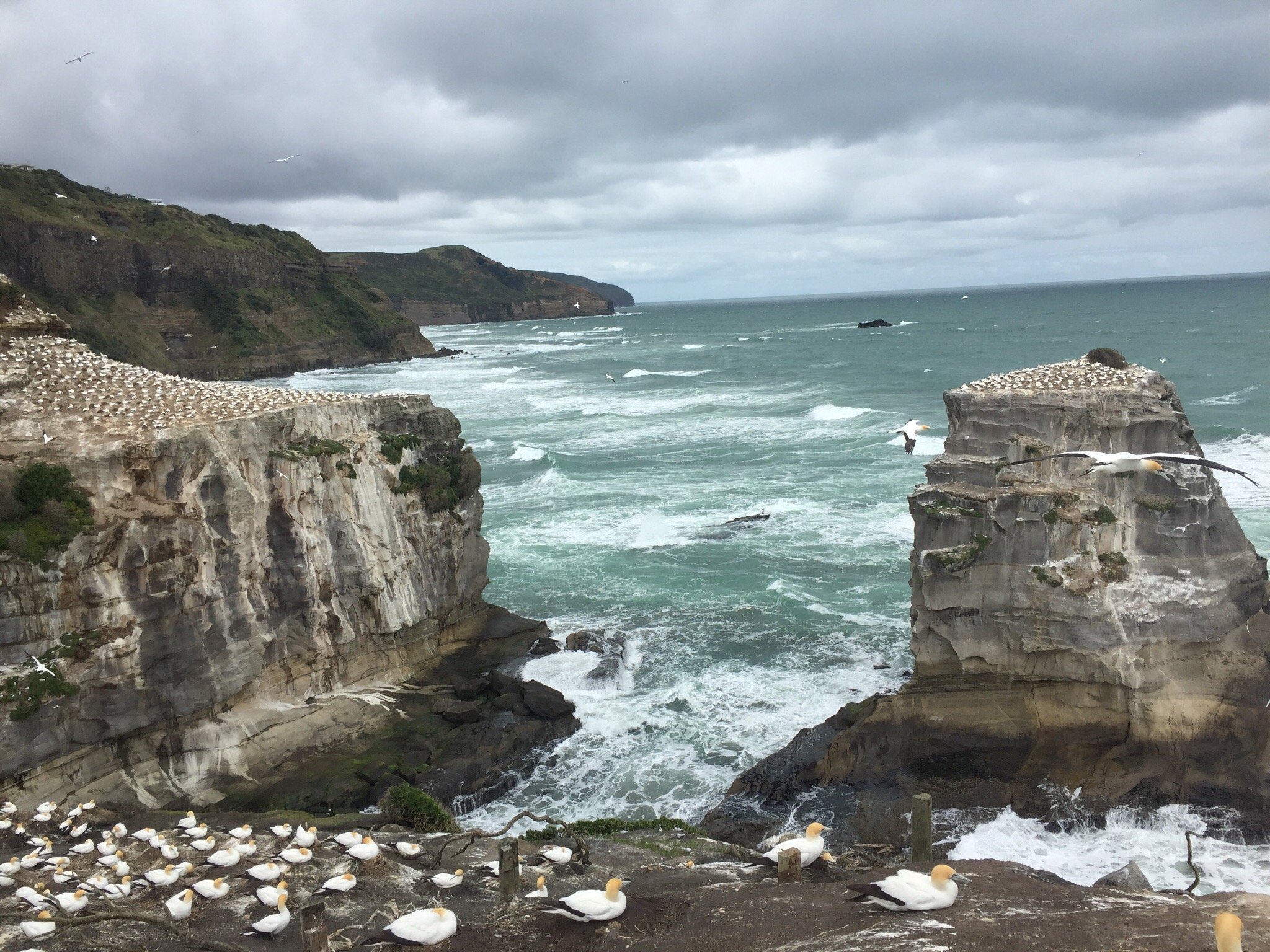 MURIWAI BEACH B B Updated 2021 Prices Reviews And Photos Waimauku   Photo6jpg 