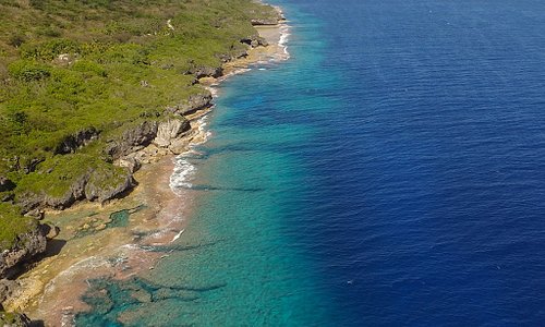 Niue Coast Line