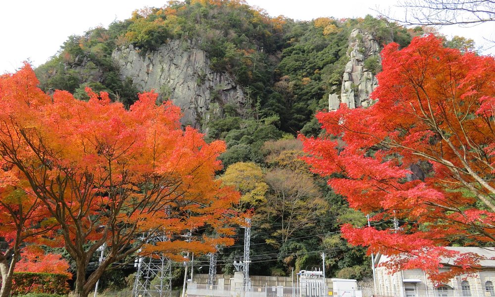 東広島 旅行 観光ガイド 年 トリップアドバイザー