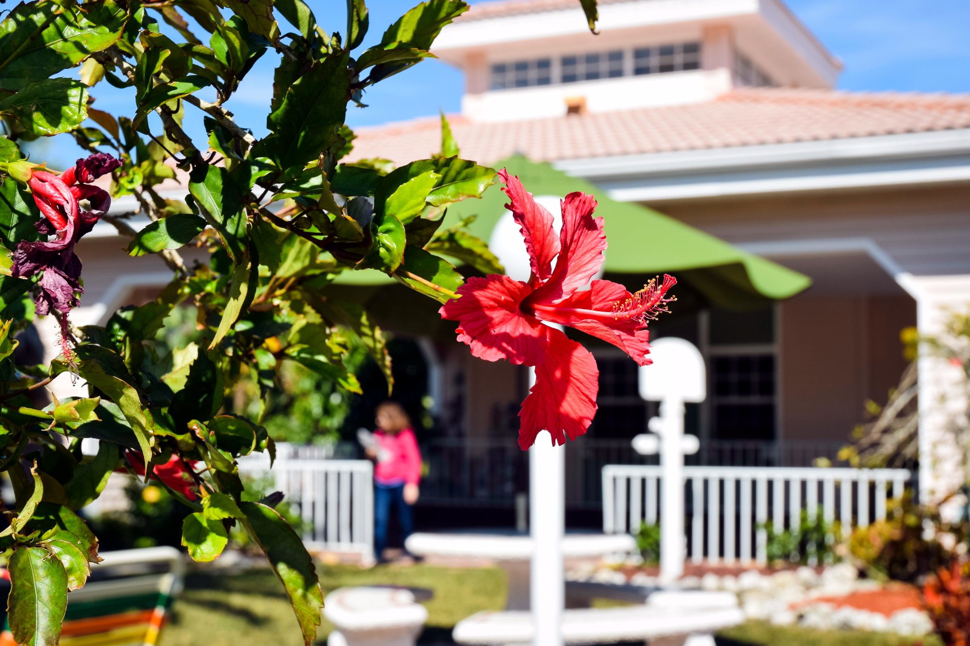 Hotel photo 41 of Tropical Beach Resorts.