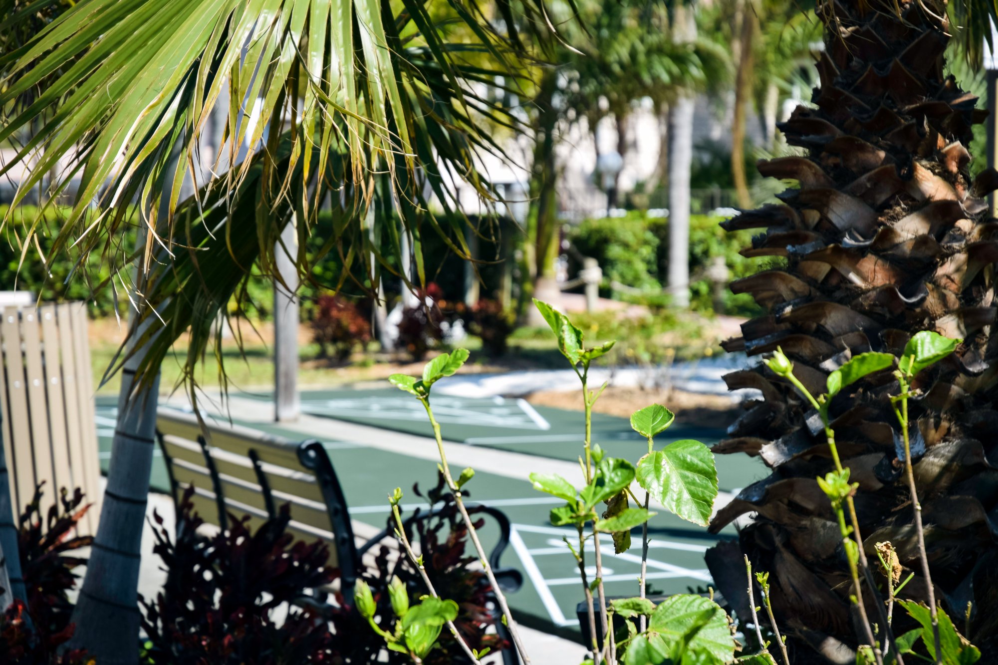 Hotel photo 24 of Tropical Beach Resorts - Sarasota.