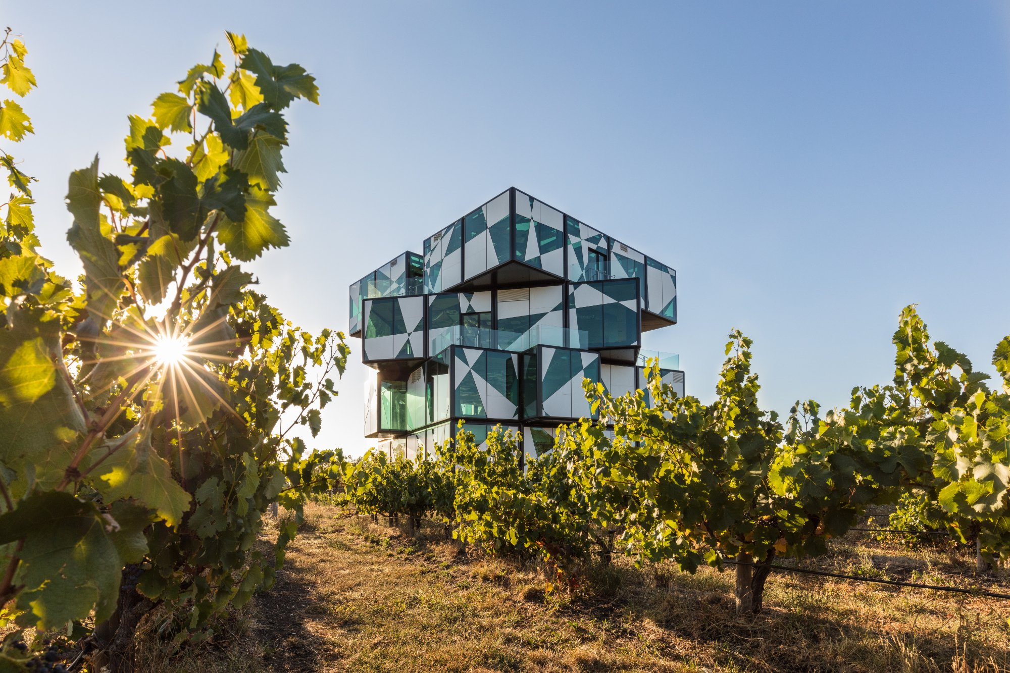 Wineries top south australia