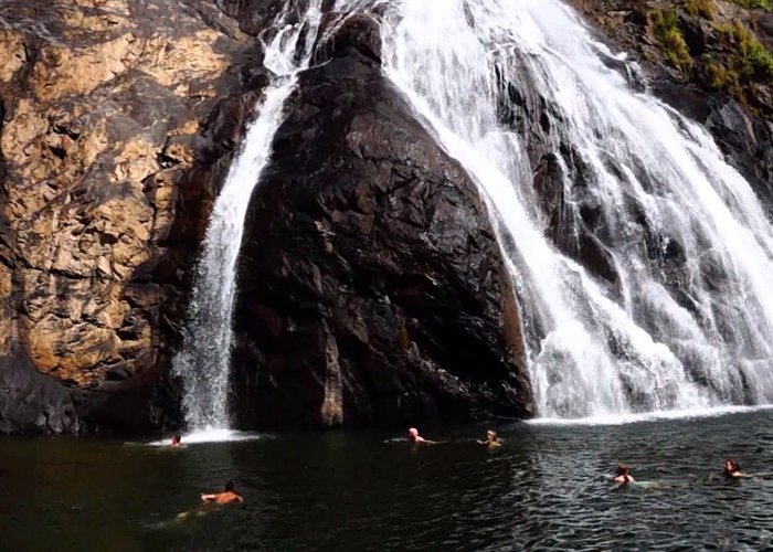 Guest enjoying swimming Dudhsagar Waterfall Trip in Goa
