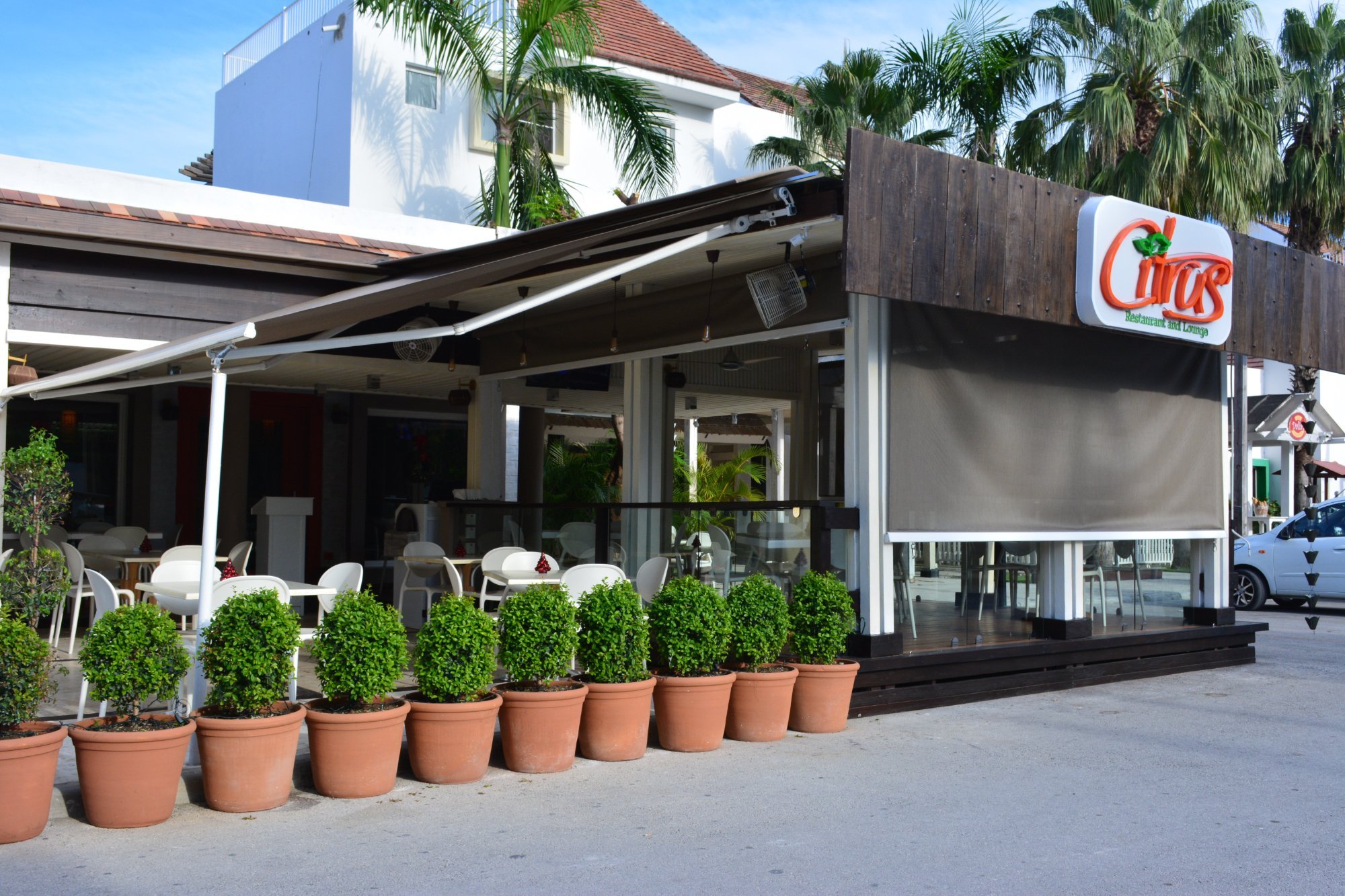 Citrus Fusion Cuisine, Bavaro - 레스토랑 리뷰 - 트립어드바이저
