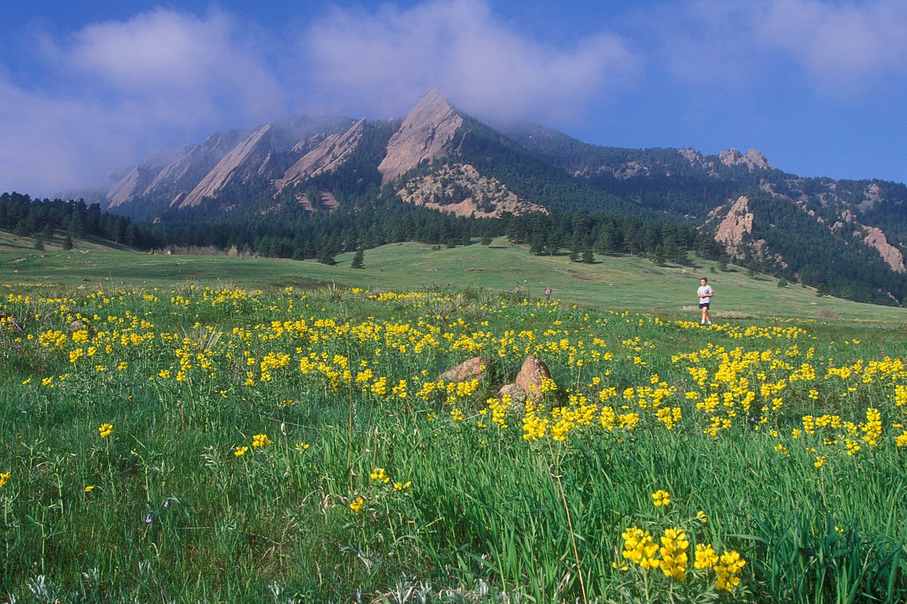 Boulder University Inn by null