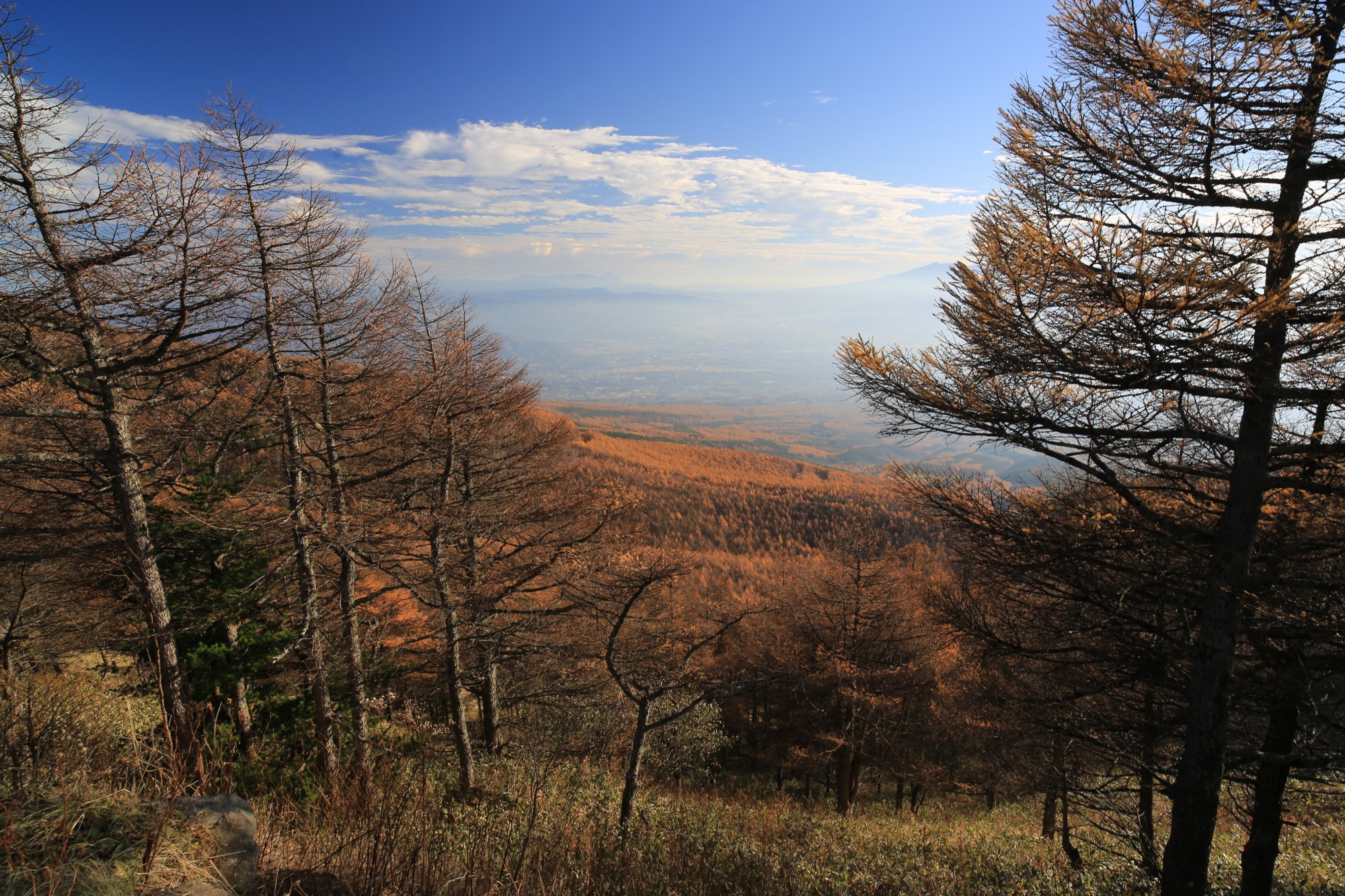 Takamine Kogen - All You Need to Know BEFORE You Go (with Photos)