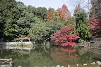 21年 播州山崎花菖蒲園 行く前に 見どころをチェック トリップアドバイザー