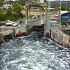Things To Do in Sail Bruny, Restaurants in Sail Bruny