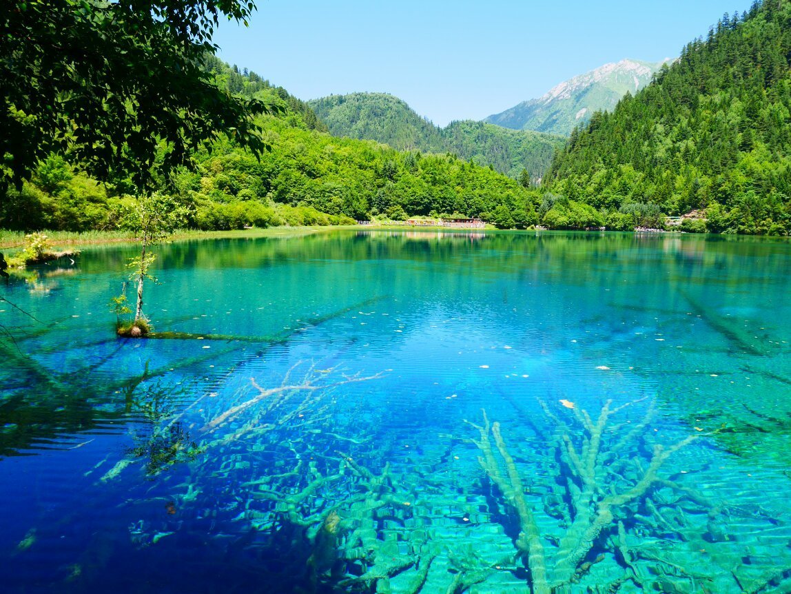 JIUZHAIGOU NATURAL RESERVE (2024) All You Need to Know BEFORE You Go (with  Photos)