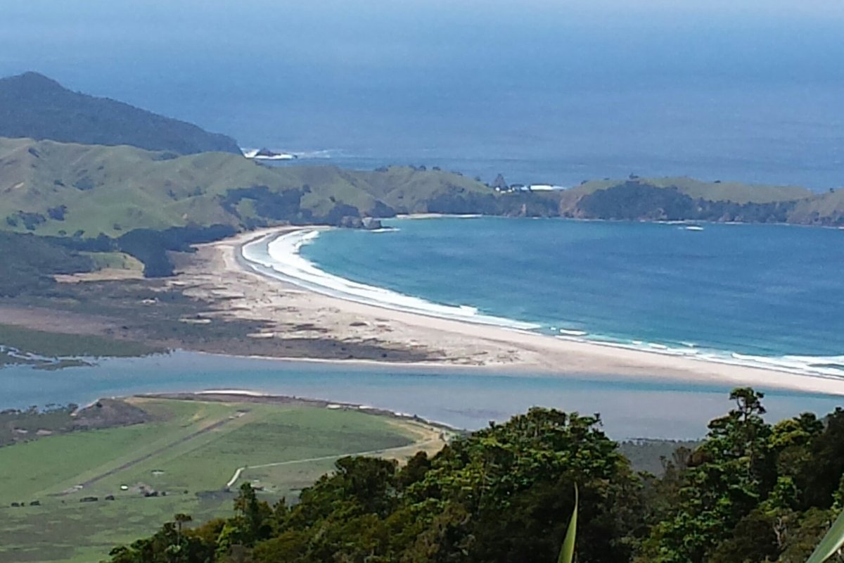 great-barrier-island-2021-best-of-great-barrier-island-tourism