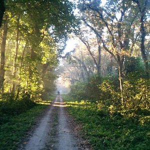 chilapata forest tourist