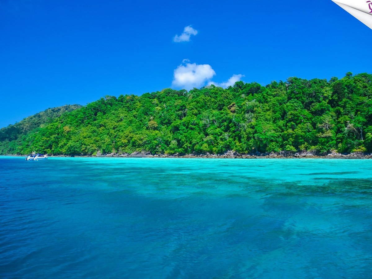 Wow Andaman, Тай-Мыанг: лучшие советы перед посещением - Tripadvisor