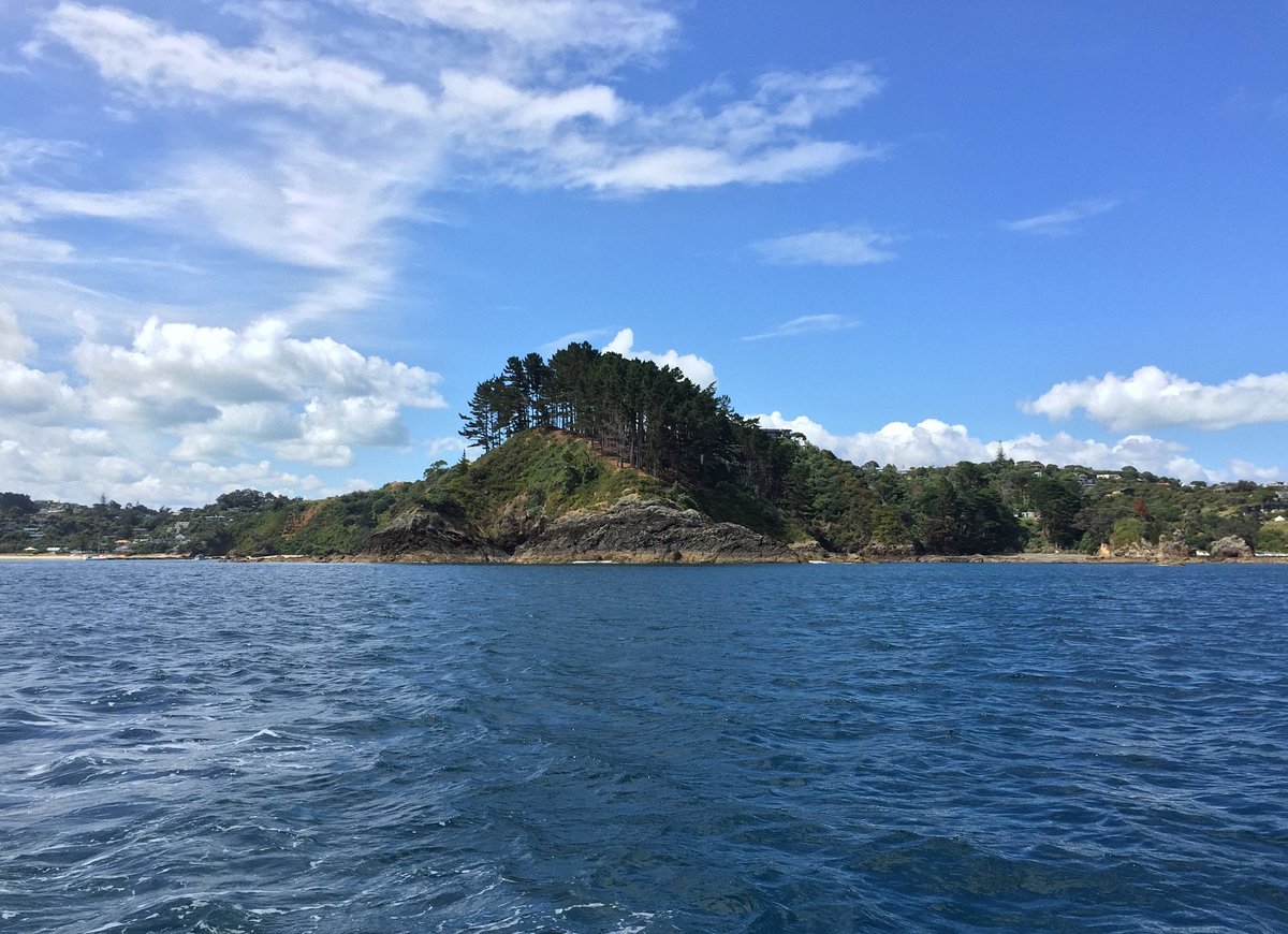 waiheke island jet ski tours