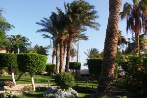 المسافر