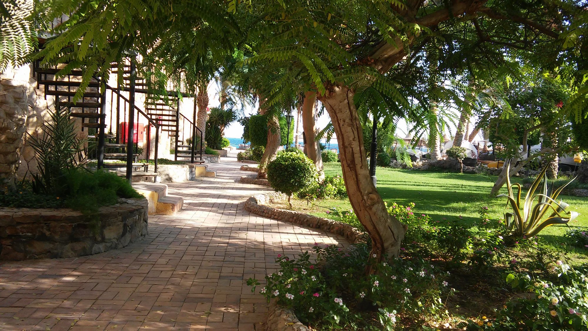 JEWELS SAHARA BOUTIQUE RESORT Reviews Hurghada Egypt