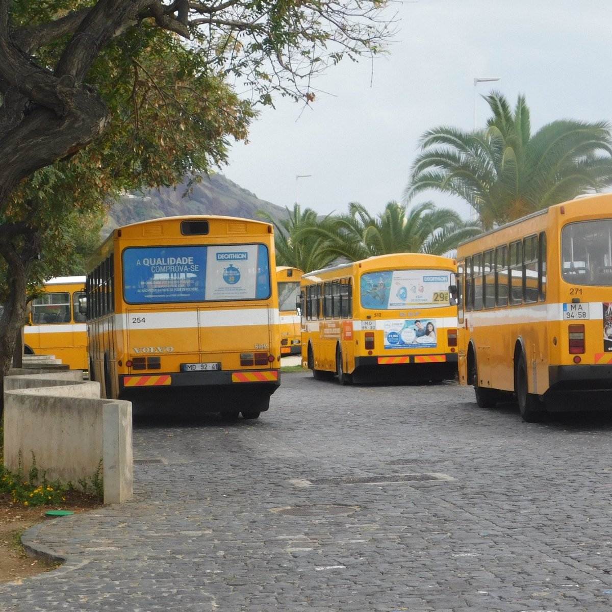 HF Bus (Funchal) - All You Need to Know BEFORE You Go