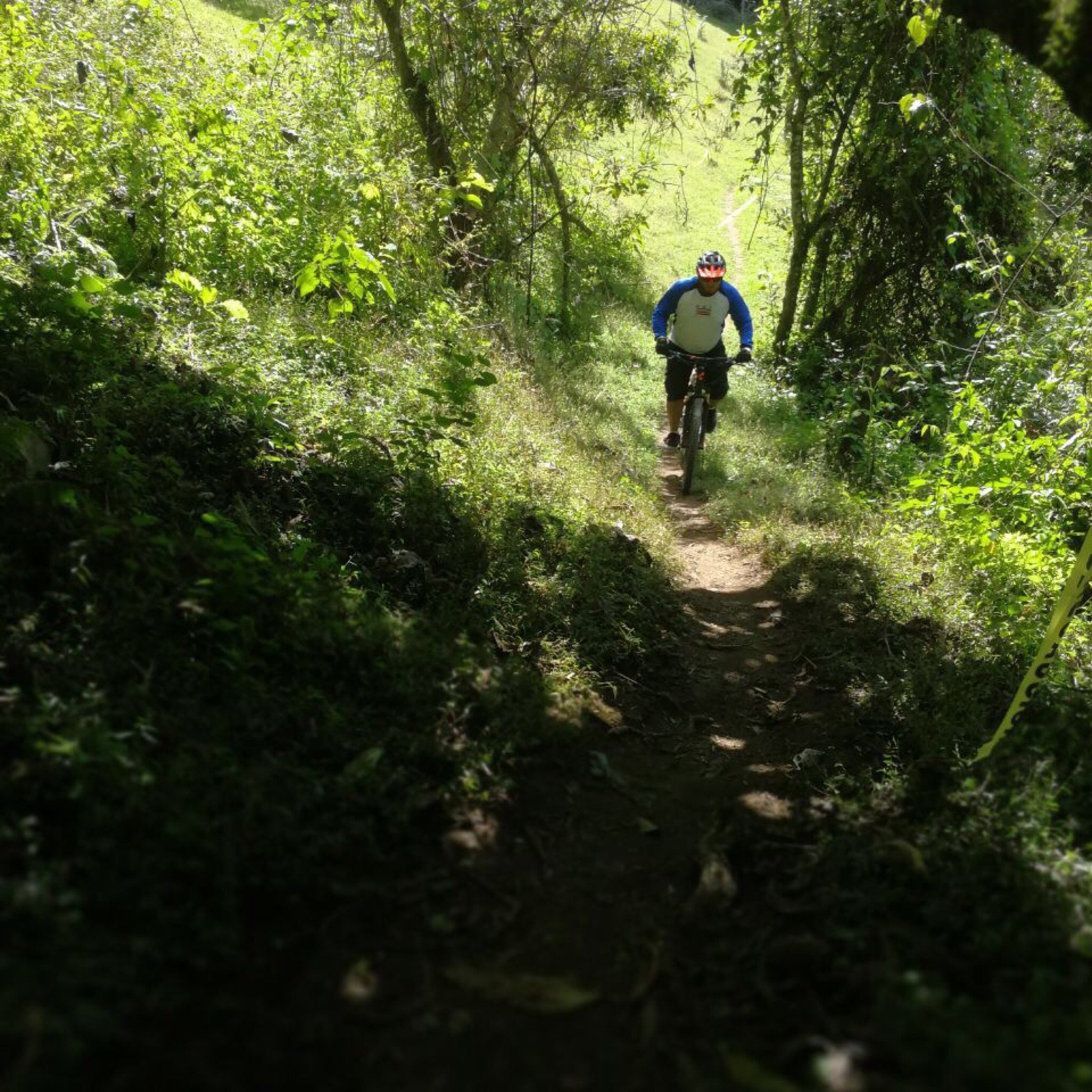 La Angelina Mountain Bike Park Tripadvisor