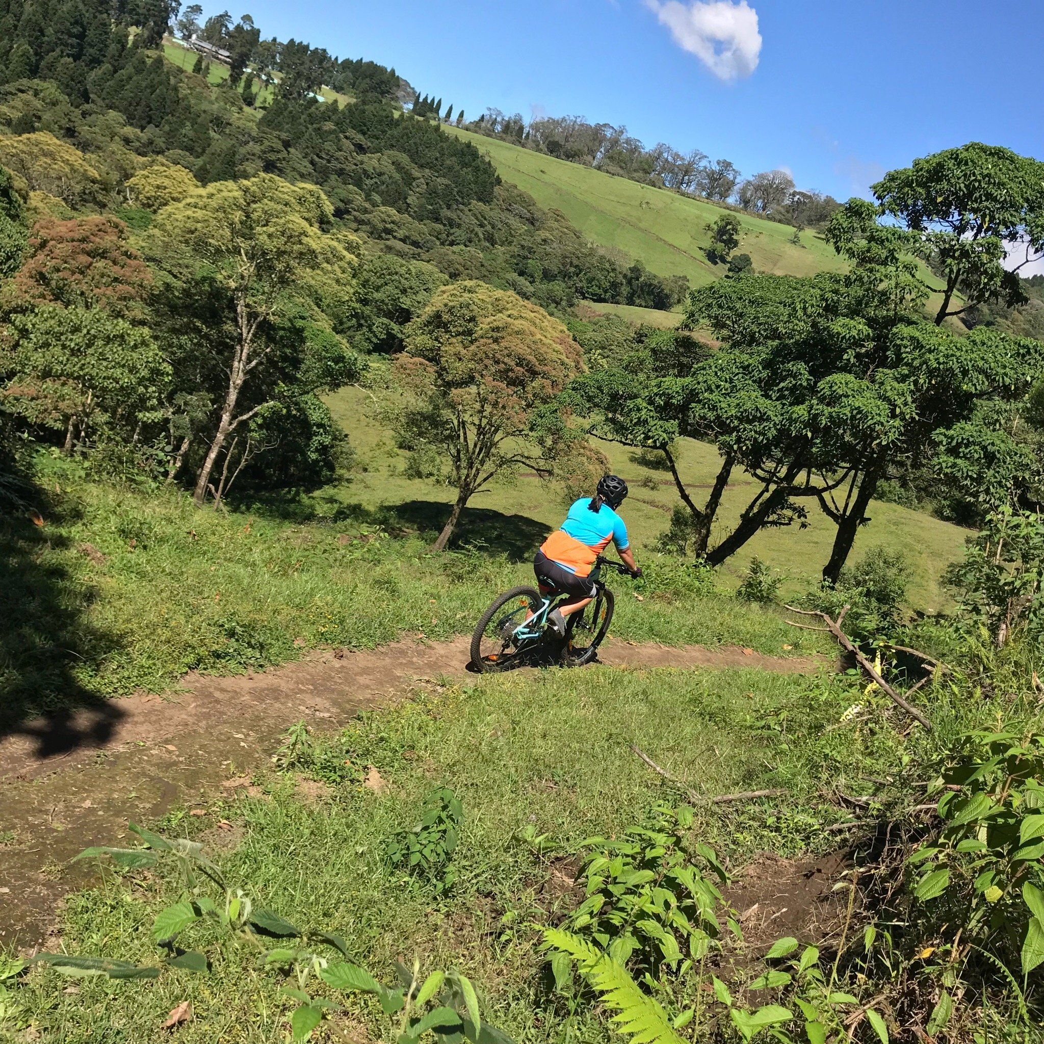 La angelina mountain bike park on sale