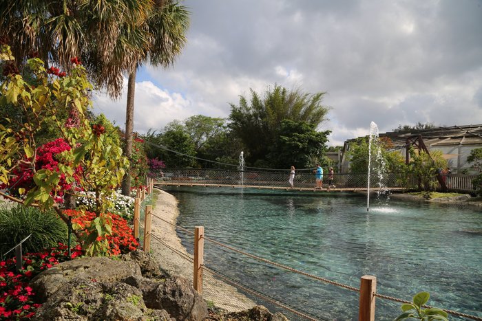 Butterfly World Lake and Tinalandia Bridge