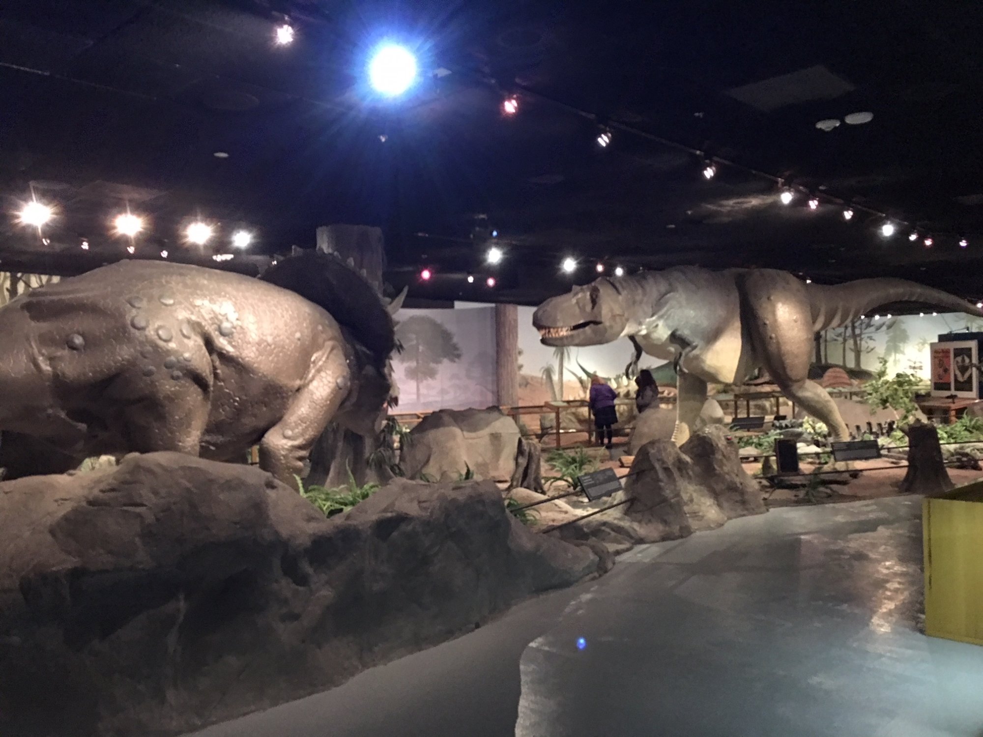 Las Vegas Natural History Museum: All You Need To Know