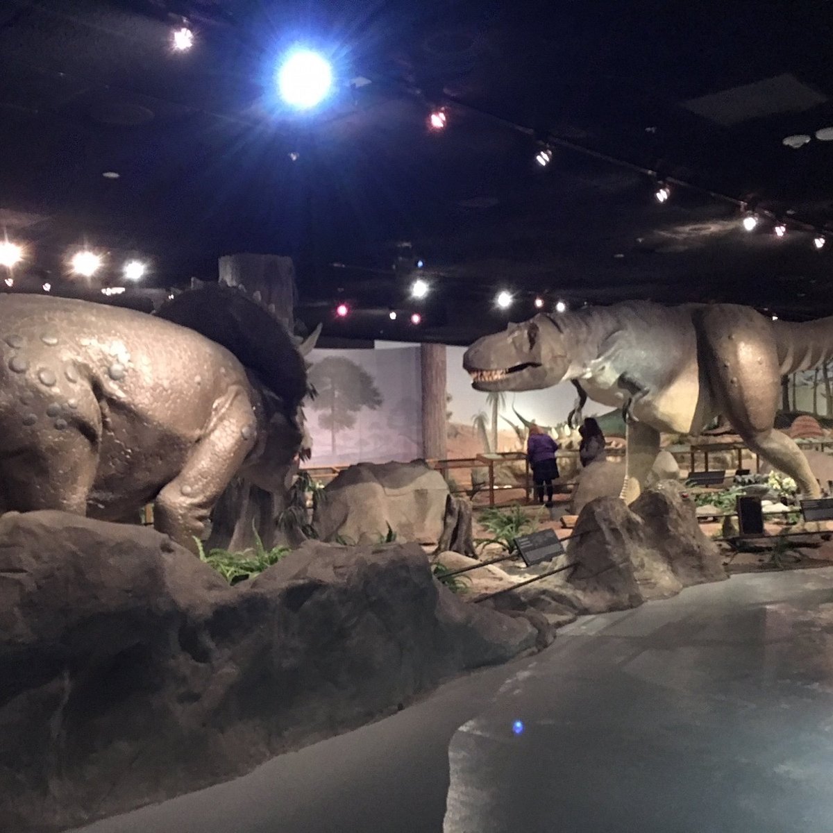 Las Vegas Natural History Museum - Wikipedia