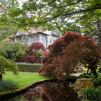 Tupare house with beautiful maples