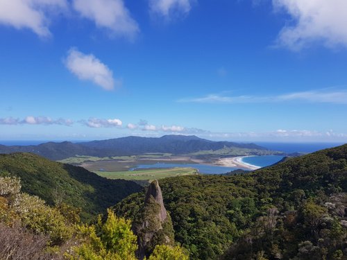 Mullet Point Loop Walk, Auckland, New Zealand - 7 Reviews, Map