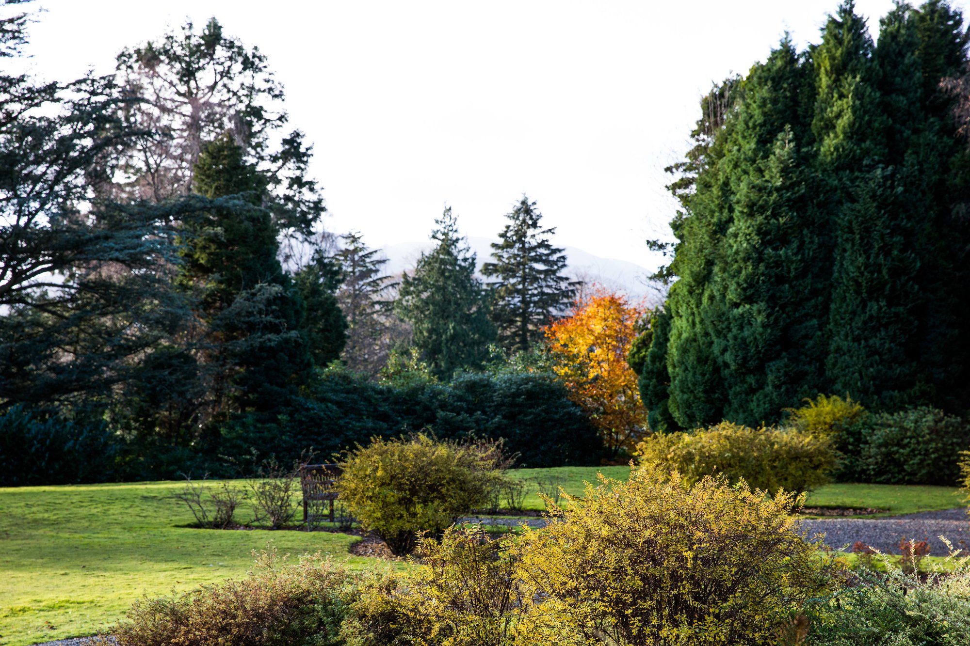 Hotel photo 1 of The Keswick Country House Hotel.
