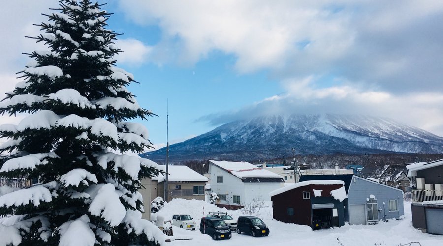 True Niseko