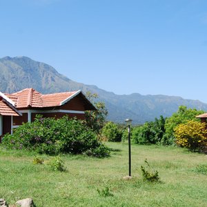 Cottage View