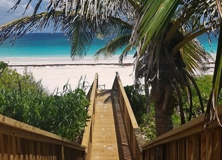 Boardwalk to the beach