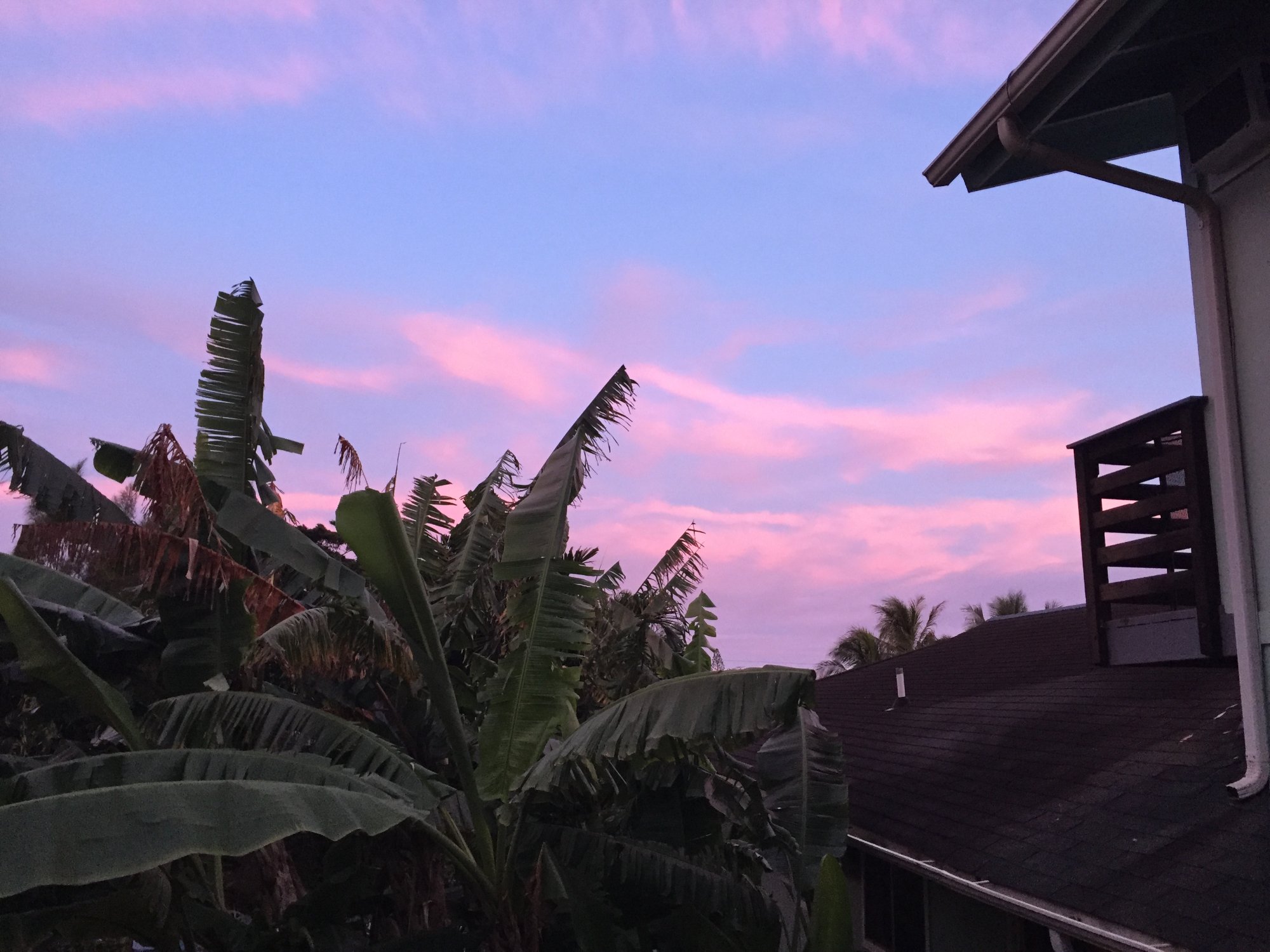 Kalani Hawaii Private Lodging - UPDATED Prices, Reviews & Photos