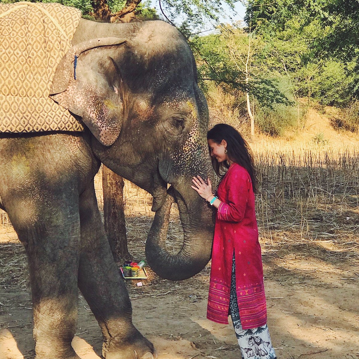Elefante Jaipur Baby - F368