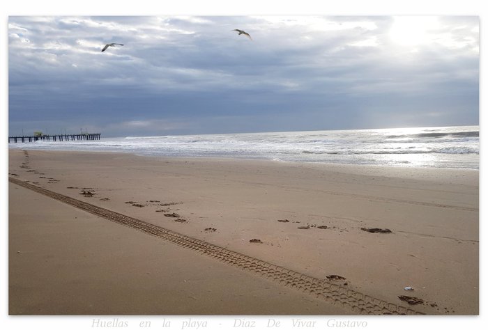 Huellas en la playa cerca del muelle Ostende,  Pinamar temporada 2018
Dale un "me gusta" si te sirvió la información para apoyar mi trabajo